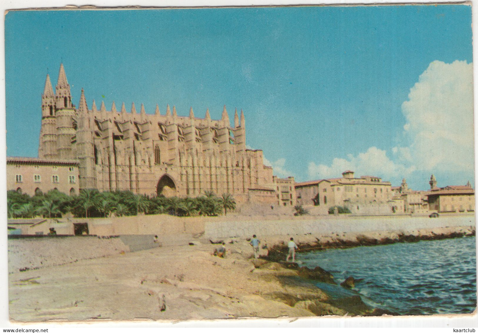 Palma. Catedral - (Baleares, Espana/Spain) - Palma De Mallorca