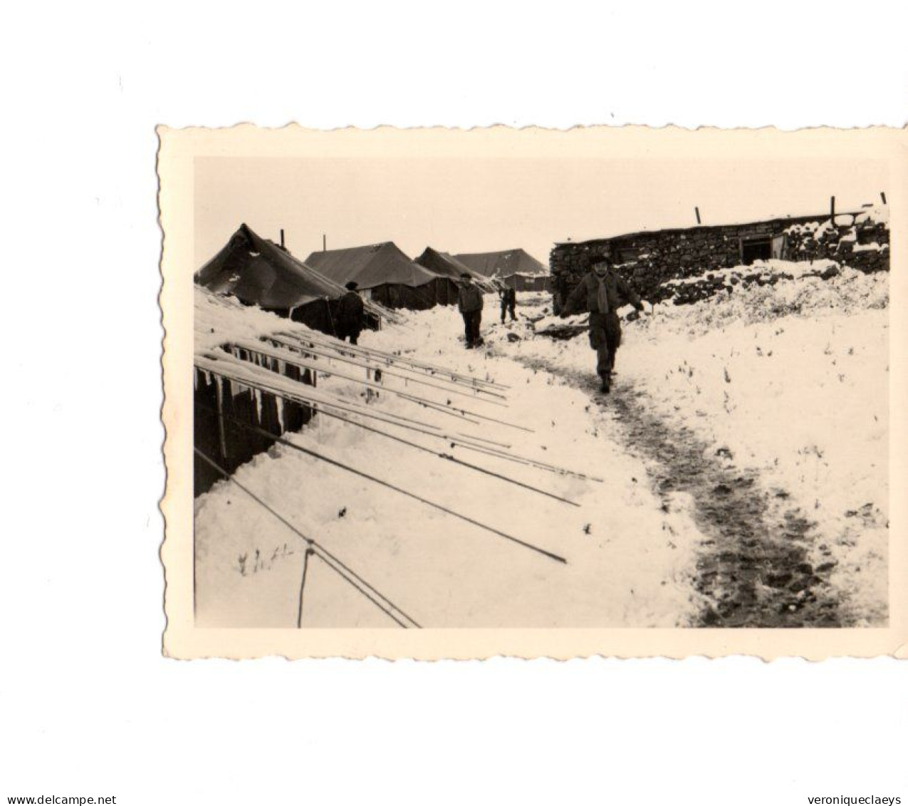 Photo Ancienne Chasseurs Alpin Tentes Neige C1/9 - 1939-45