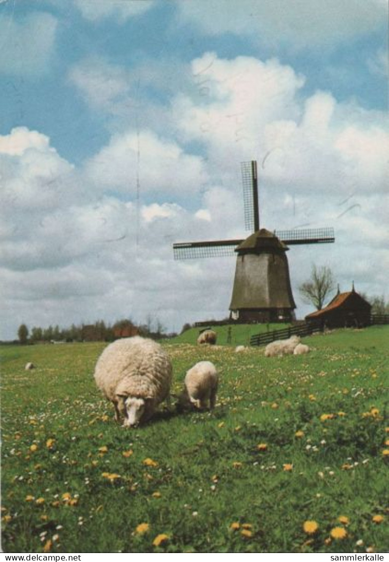 98951 - Niederlande - Alkmaar-Schermerhorn - Mühle - Ca. 1985 - Alkmaar