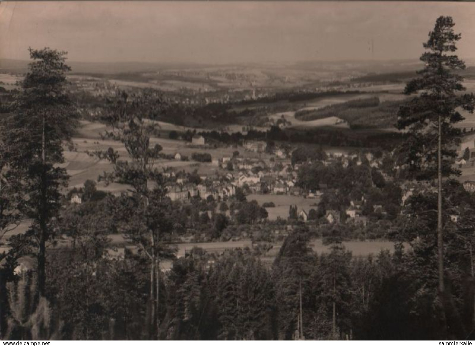 43390 - Erlbach - Mit Markneulirchen - Vom Kegelberg - 1965 - Erlbach-Kirchberg