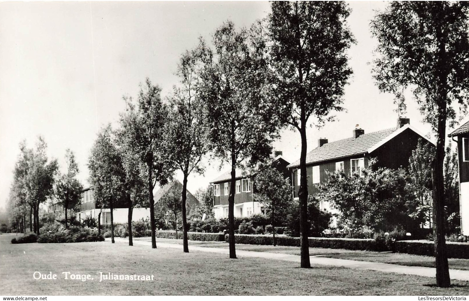 PAYS BAS - Oude Tonge - Julianastraat - Carte Postale - Andere & Zonder Classificatie