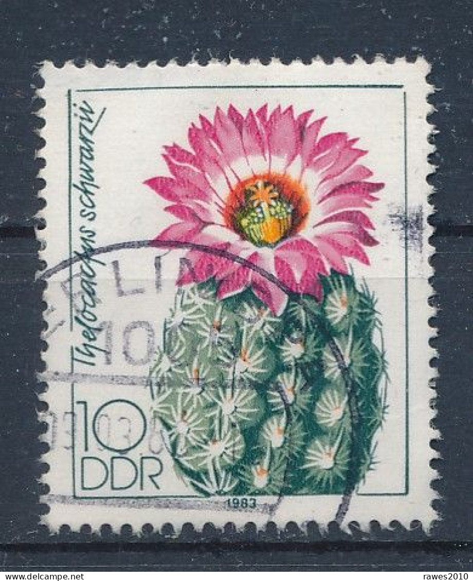 DDR Mi. 2802 Gest. Kaktee Warzenkaktus Blüte TGST Berlin - Oblitérés