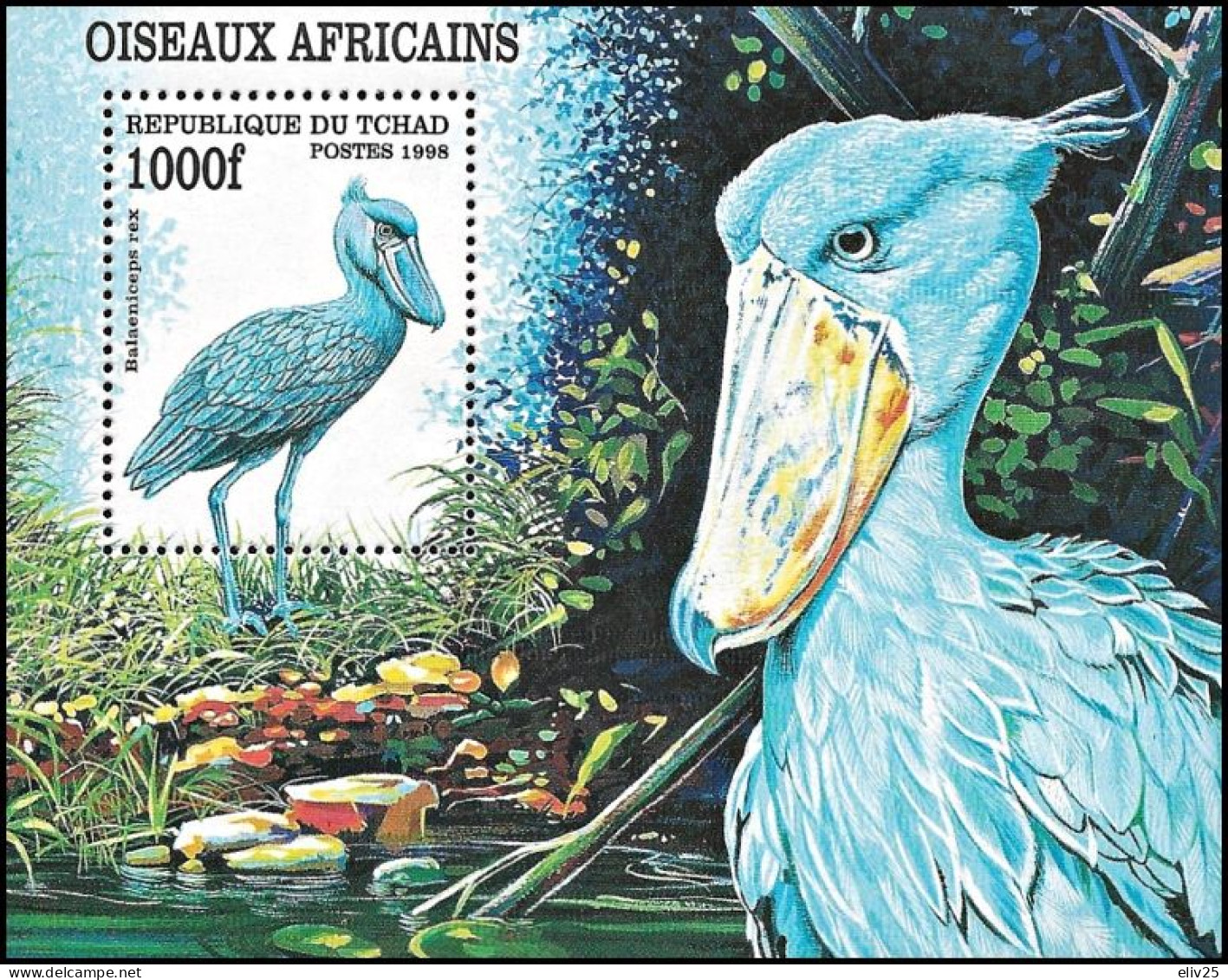 Chad 1999, African Birds - S/s MNH - Storchenvögel