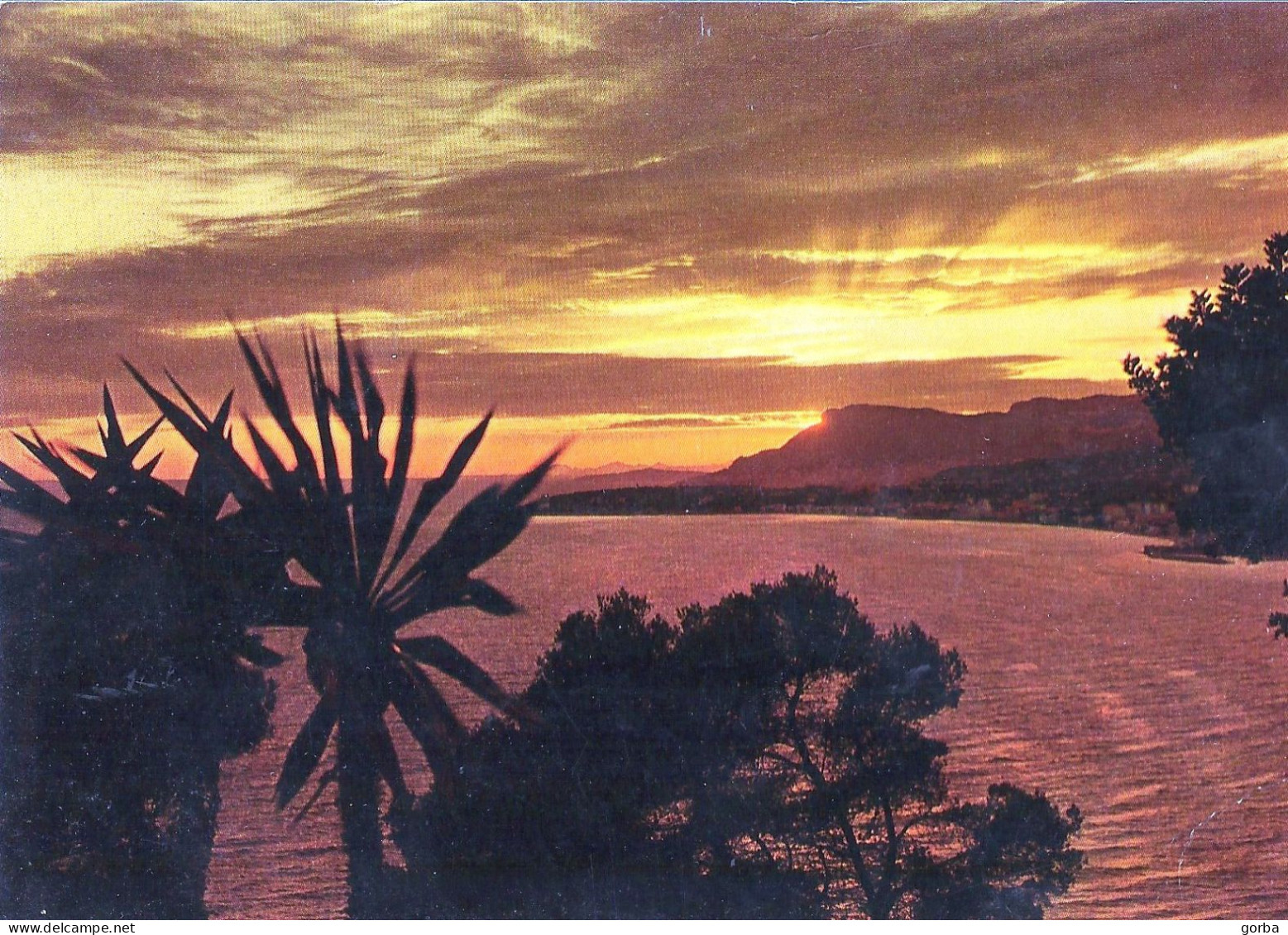 *CPM - Coucher De Soleil En Méditerranée - Contre La Lumière