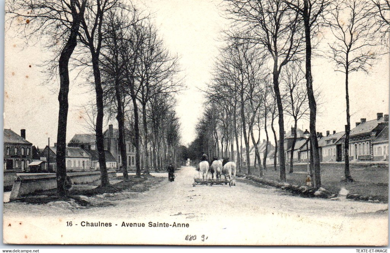 80 CHAULNES - L'avenue Sainte Anne. - Chaulnes