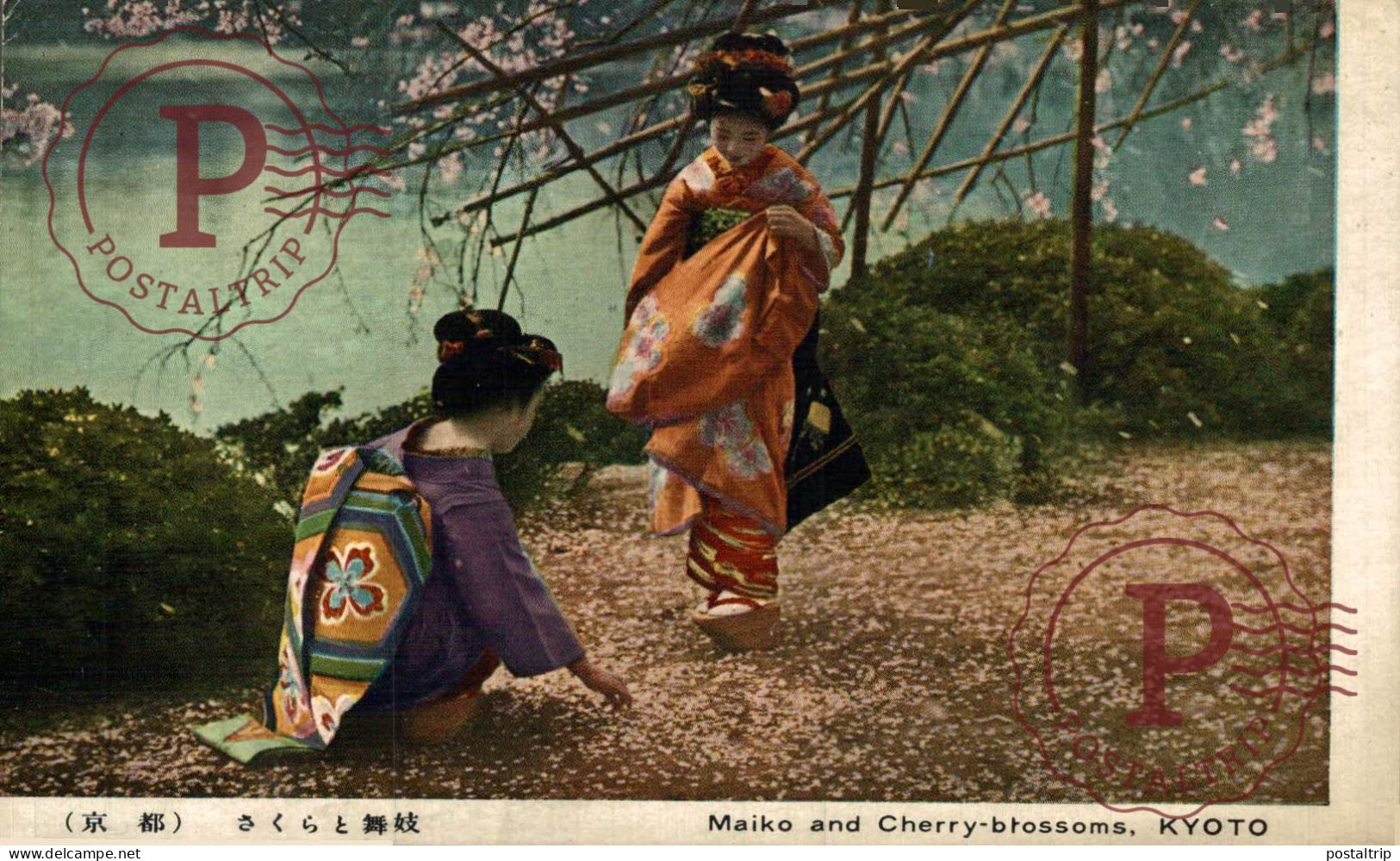 JAPON. JAPAN. MAIKO AND CHERRY BLOSSOMS. KYOTO - Kyoto