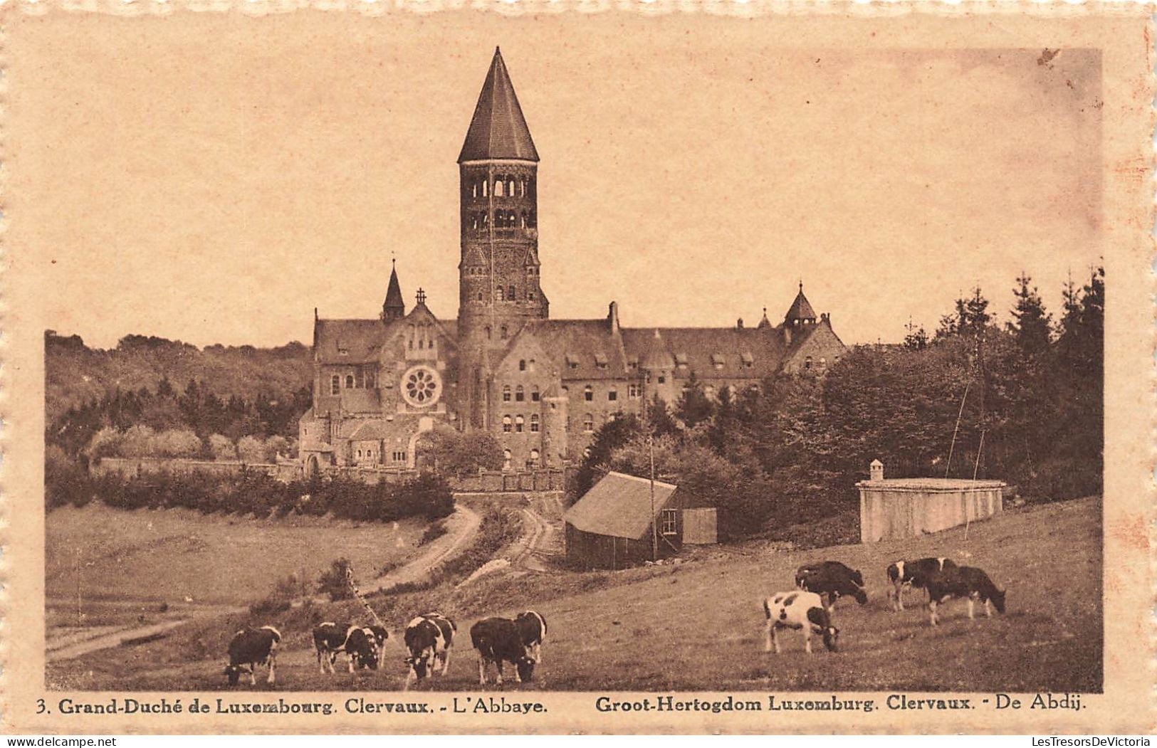 LUXEMBOURG - Clervaux - Grand Duché De Luxembourg - L'abbaye - Carte Postale Ancienne - Clervaux