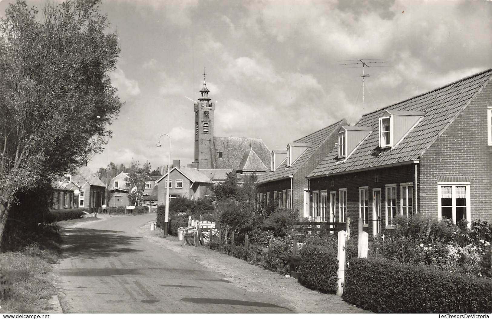 PAYS BAS - Burgh - Weeldeweg - Carte Postale - Sonstige & Ohne Zuordnung