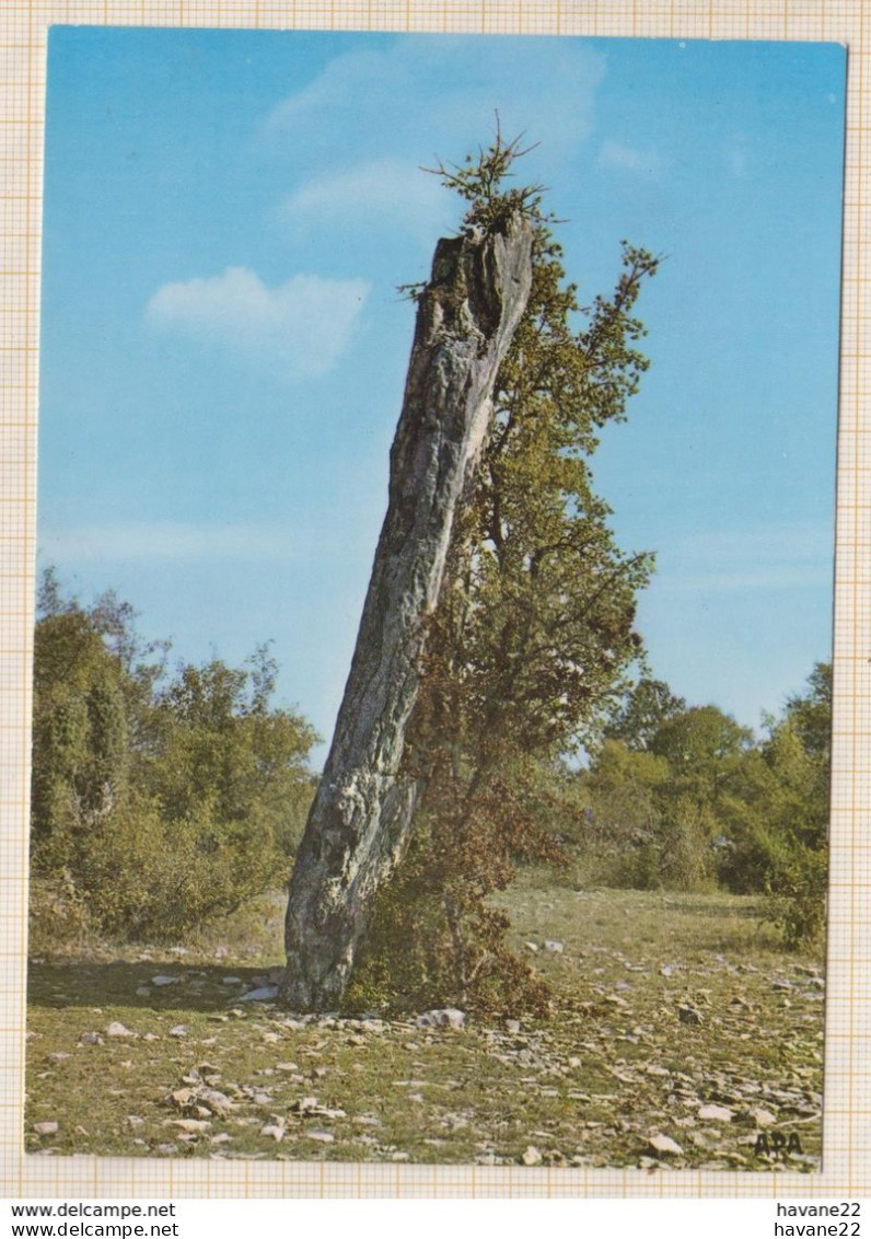 8AK3389 ENVIRONS  DE LIVERNON LE MENHIR TRES TYPIQUE DE BELINAC 2 SCANS - Livernon