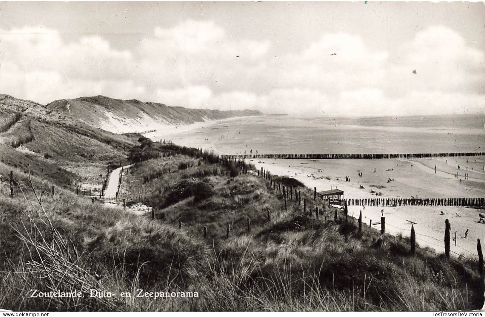 PAYS BAS - Zoutelande - Duin - En Zeepanorama - Carte Postale - Zoutelande