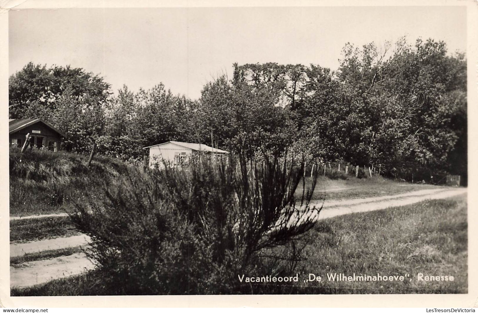 PAYS BAS - Vacantieoord De Wilhelminahoeve Renesse - Carte Postale - Renesse