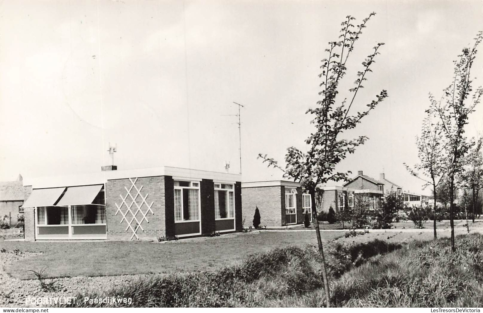 PAYS BAS - Tholen -  Poortvliet - Paasdijkweg- Carte Postale - Tholen