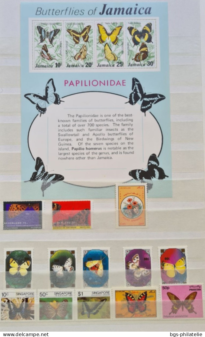 Collection De Timbres Sur Le Thème Des Papillons. - Sammlungen (ohne Album)