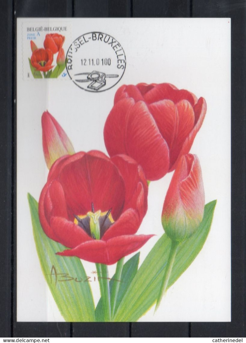 Année 2001 : Carte Maximum 3047 - Tulipe Rouge - Buzin - Obli. Brussel-Bruxelles - 2001-2010