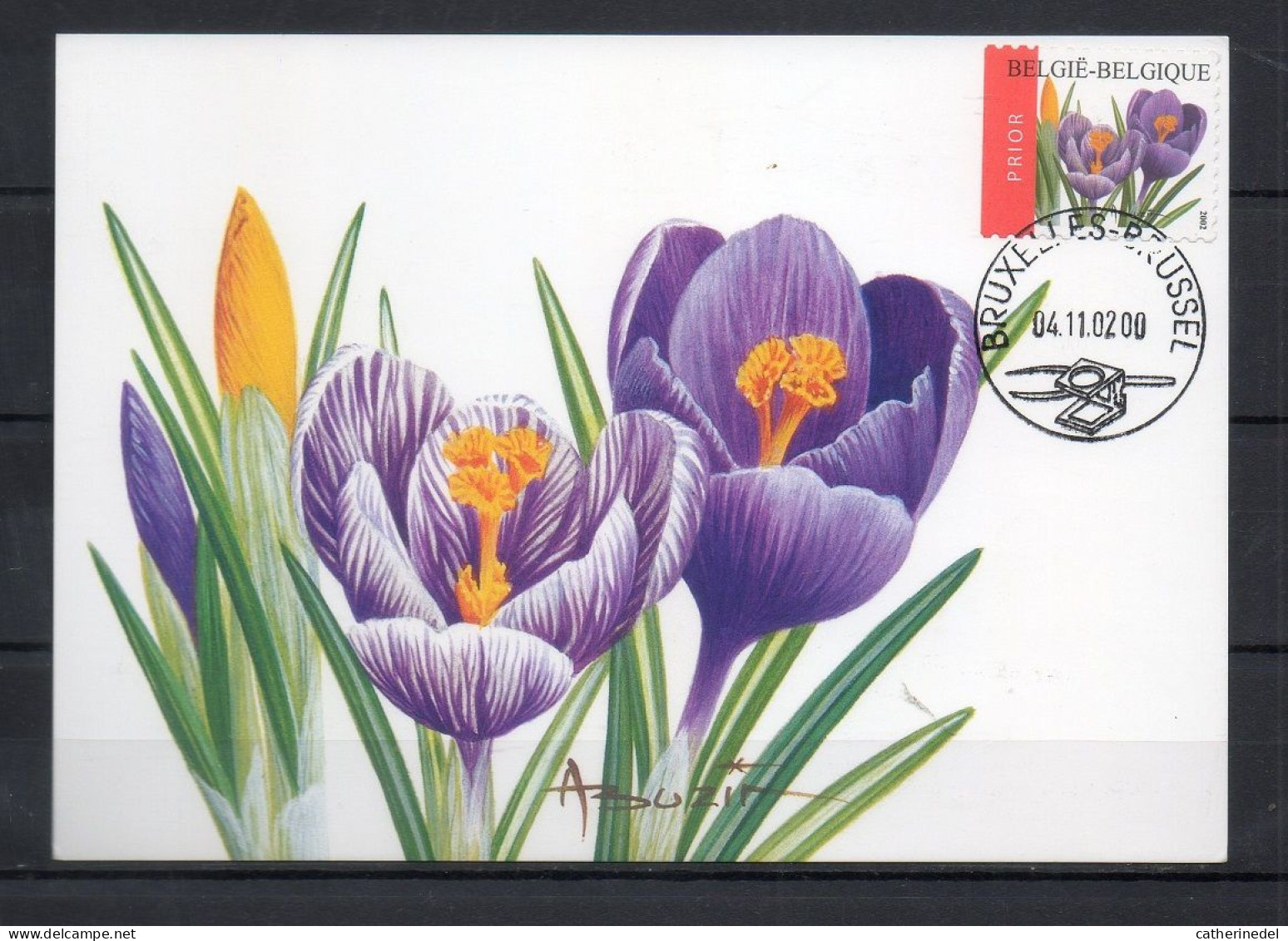 Année 2002 : Carte Maximum 3141 - Crocus Vernus - Buzin - Obli. Bruxelles-Brussel - 2001-2010