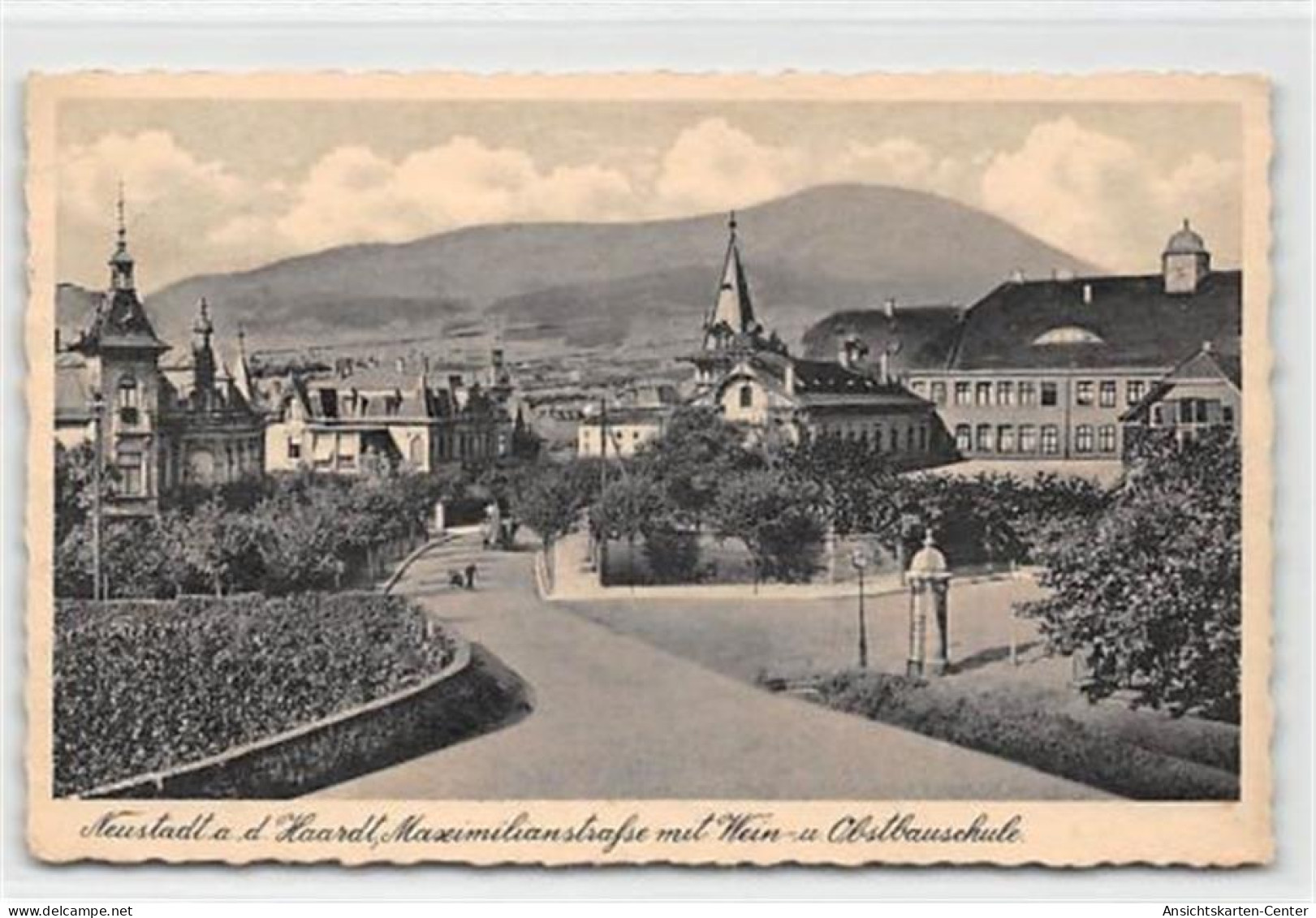 39097701 - Neustadt. Maximilianstrasse Wein- Und Obstbaumschule Gelaufen. Leicht Buegig, Leicht Fleckig, Sonst Gut Erha - Neustadt (Weinstr.)