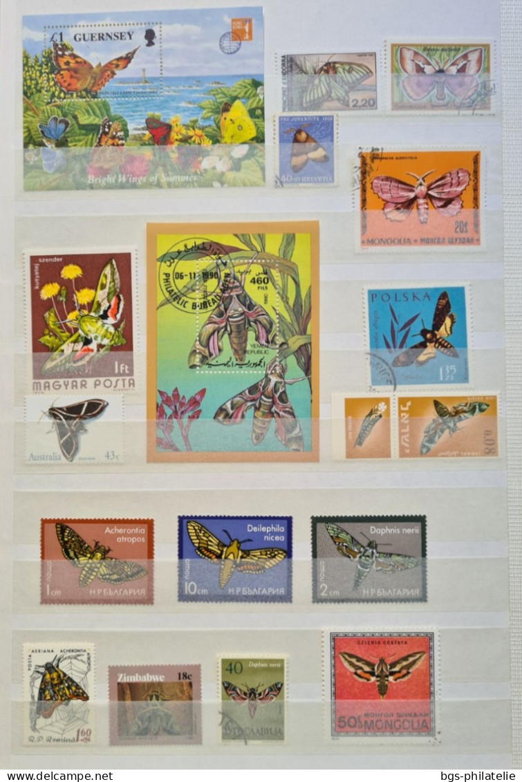 Collection de timbres sur le thème des Papillons.
