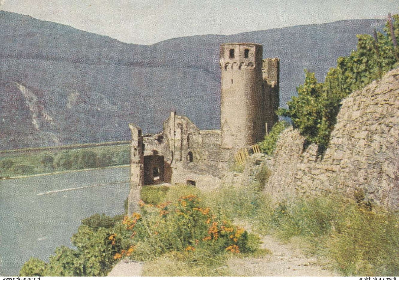 Burgruine Ehrenfels In Rüdesheim / Rhein Gl1956 #136.061 - Châteaux