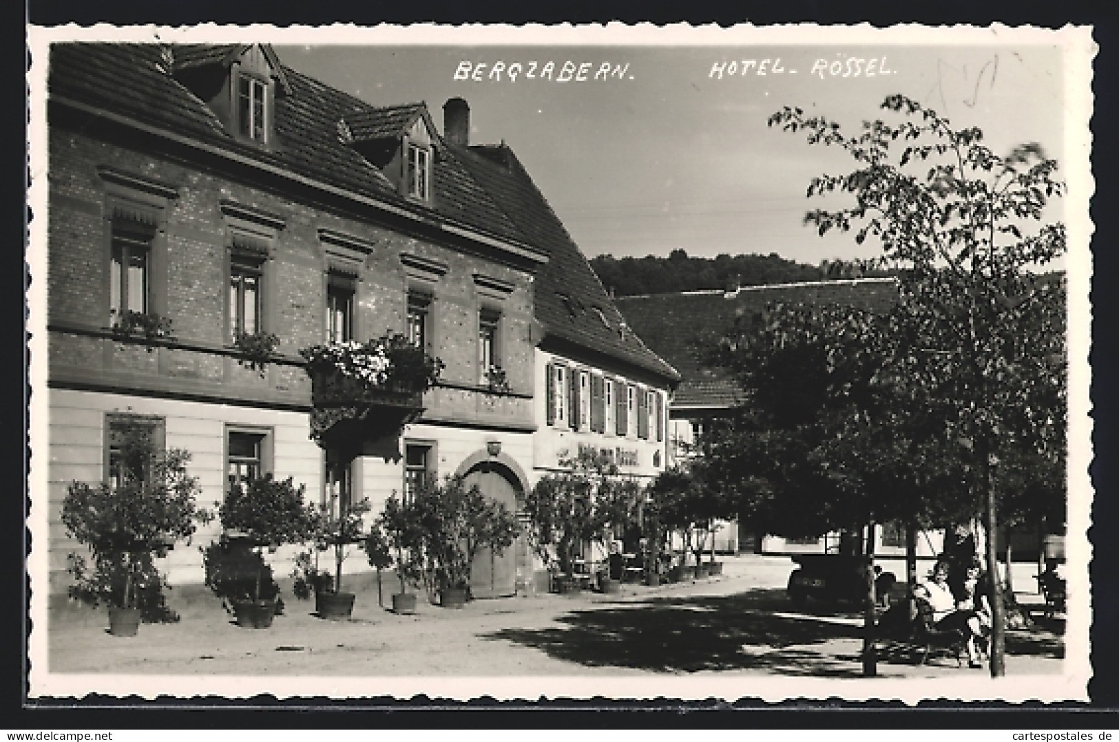AK Bergzabern, Hotel Zum Rössel Mit Strasse Im Sonnenschein  - Bad Bergzabern