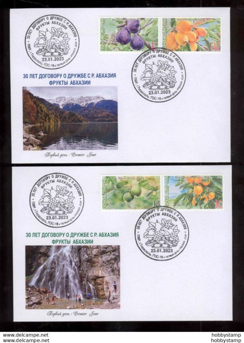 Label Transnistria 2023 Fruits Of Abkhazia 3 FDCs - Vignettes De Fantaisie