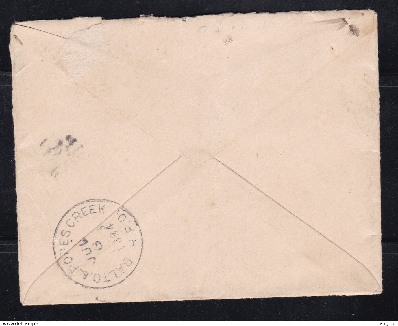 USA - 1893 Special Delivery Cover La Plata MD To Washington DC Via Balto & Popes Creek RPO - Storia Postale