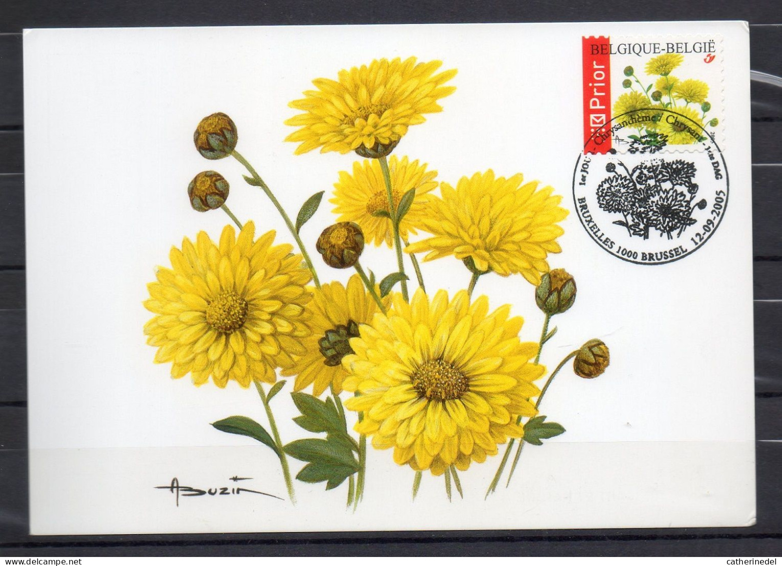 Année 2005 : Carte Maximum 3432 - Chrysanthème - Buzin - Obli. Bruxelles-Brussel - 2001-2010