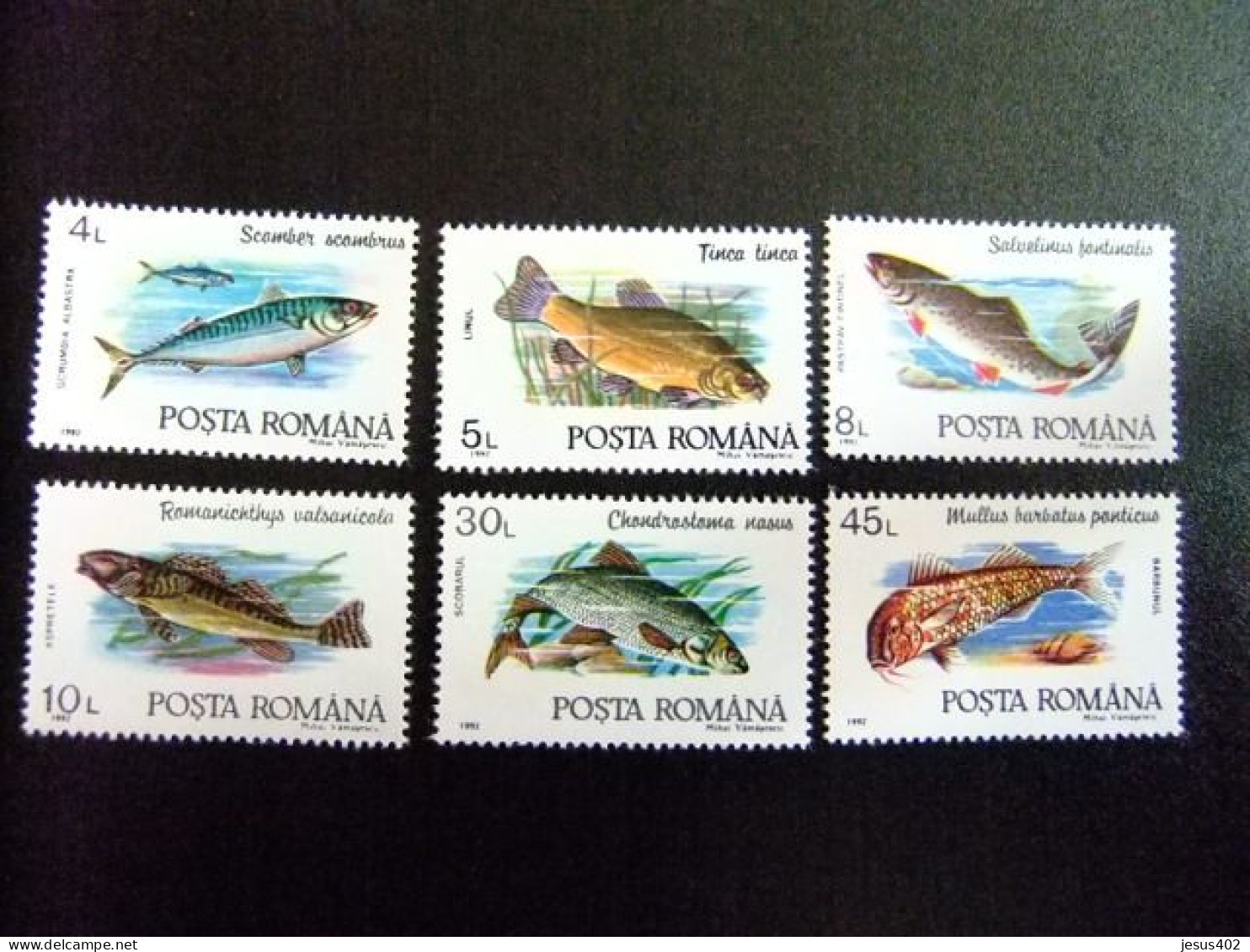 111 RUMANIA  / POSTA ROMANA 1992 / FAUNA MARINA  PECES FISH / YVERT  3991 / 3996 ** MNH - Nuovi
