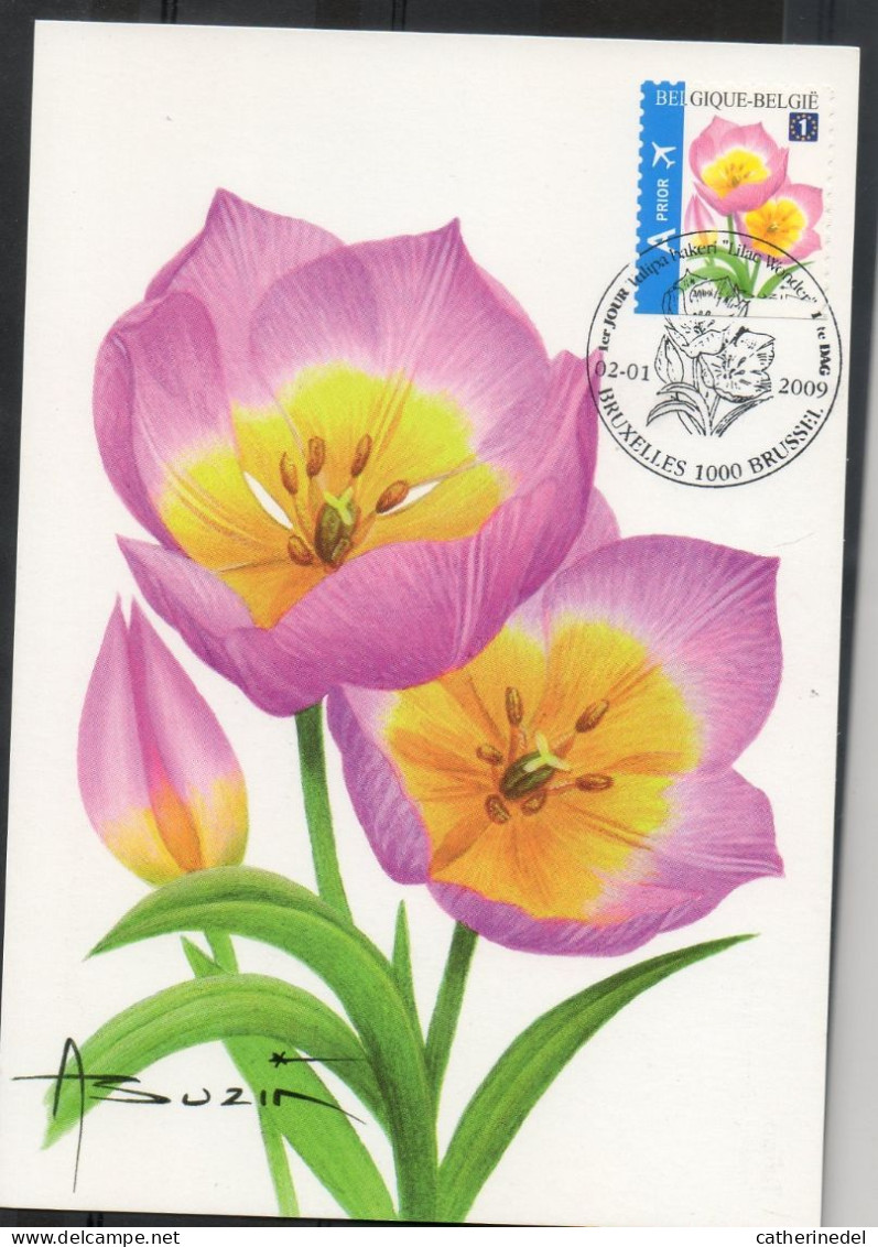 Année 2009 : Carte Maximum 3872 - Tulipe Baken - Buzin - Obli. Bruxelles-Brussel - 2001-2010