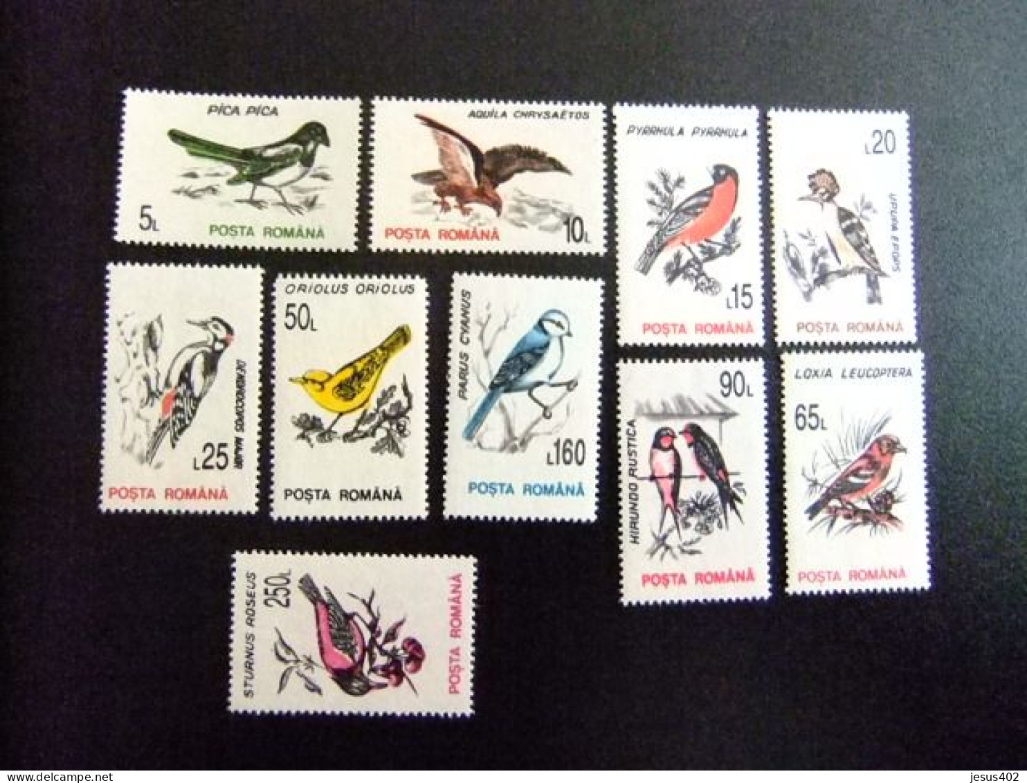 111 RUMANIA  / POSTA ROMANA 1993 / FAUNA PAJAROS  / YVERT 4065 / 4074 ** MNH - Pájaros Cantores (Passeri)