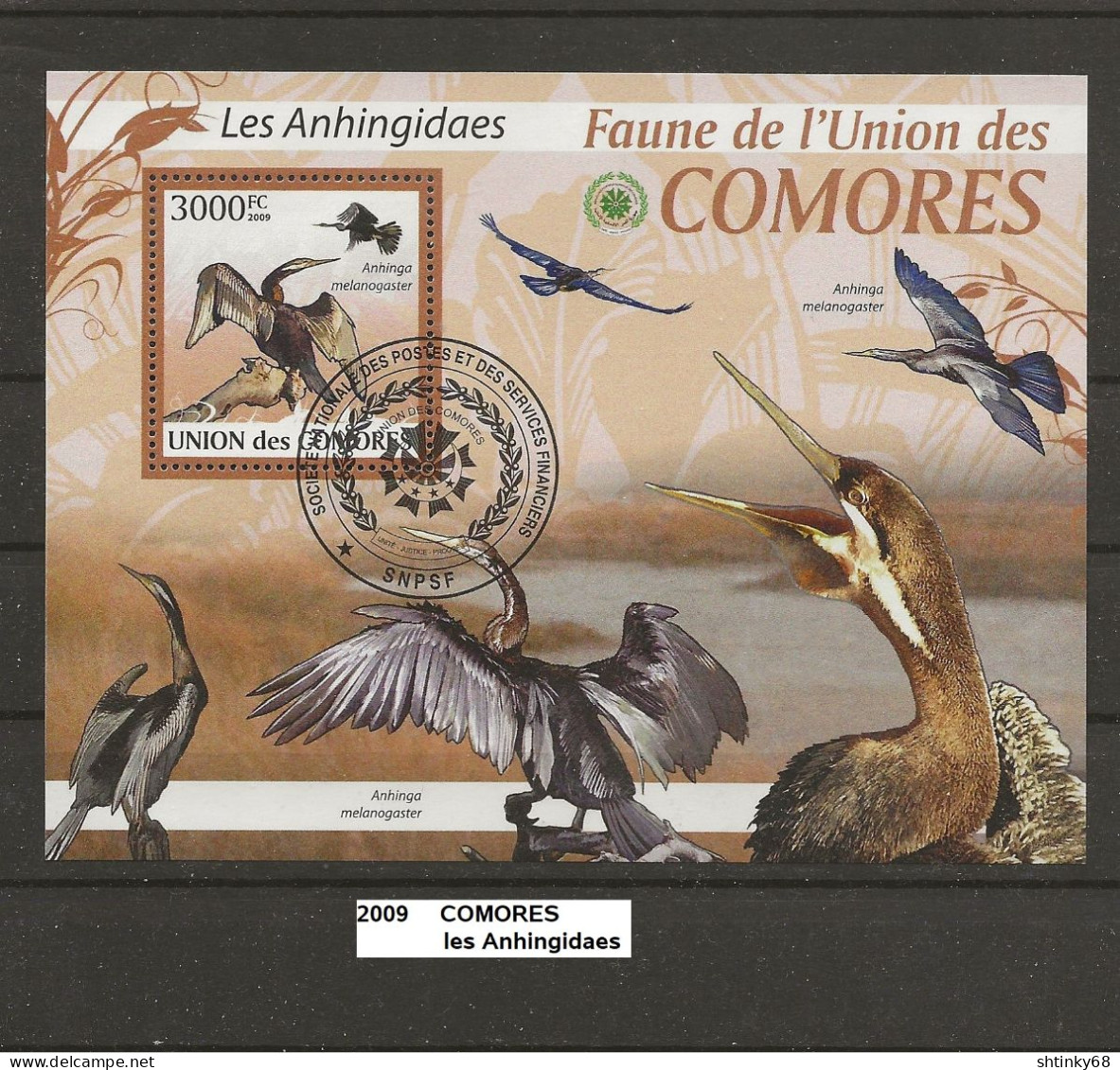 Bloc Comores De 2009 Oblitéré Anhingidaes 3000 FC - Comores (1975-...)