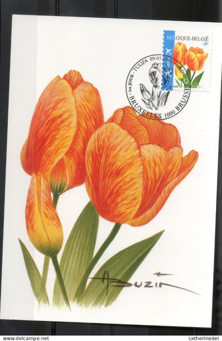 Année 2005 : Carte Maximum 3406 - Tulipe Orange - Buzin - Obli. Bruxelles-Brussel - 2001-2010
