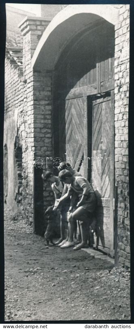 1963 Rósner Egon Fotóművészeti Alkotása (Gyermekek), 1 Db Vintage Fotó, Feliratozva, Ezüst Zselatinos Fotópapíron, 23x9  - Autres & Non Classés