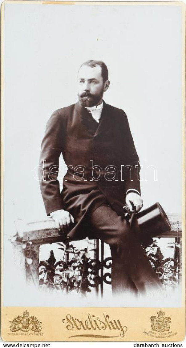 Váradi Antal (1854-1923) Bölcseleti Doktor, Drámaíró, A Kisfaludy Társaság Tagja és A Petőfi Társaság Főtitkára, Udvari  - Andere & Zonder Classificatie
