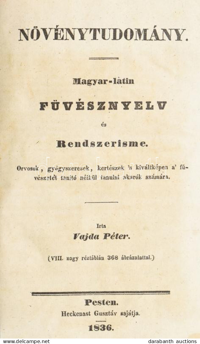 Vajda Péter:Növénytudomány. Magyar-latin Füvésznyelv és Rendszerisme. Orvosok, Gyógyszeresek, Kertészek 's Fűvészetet Ta - Unclassified