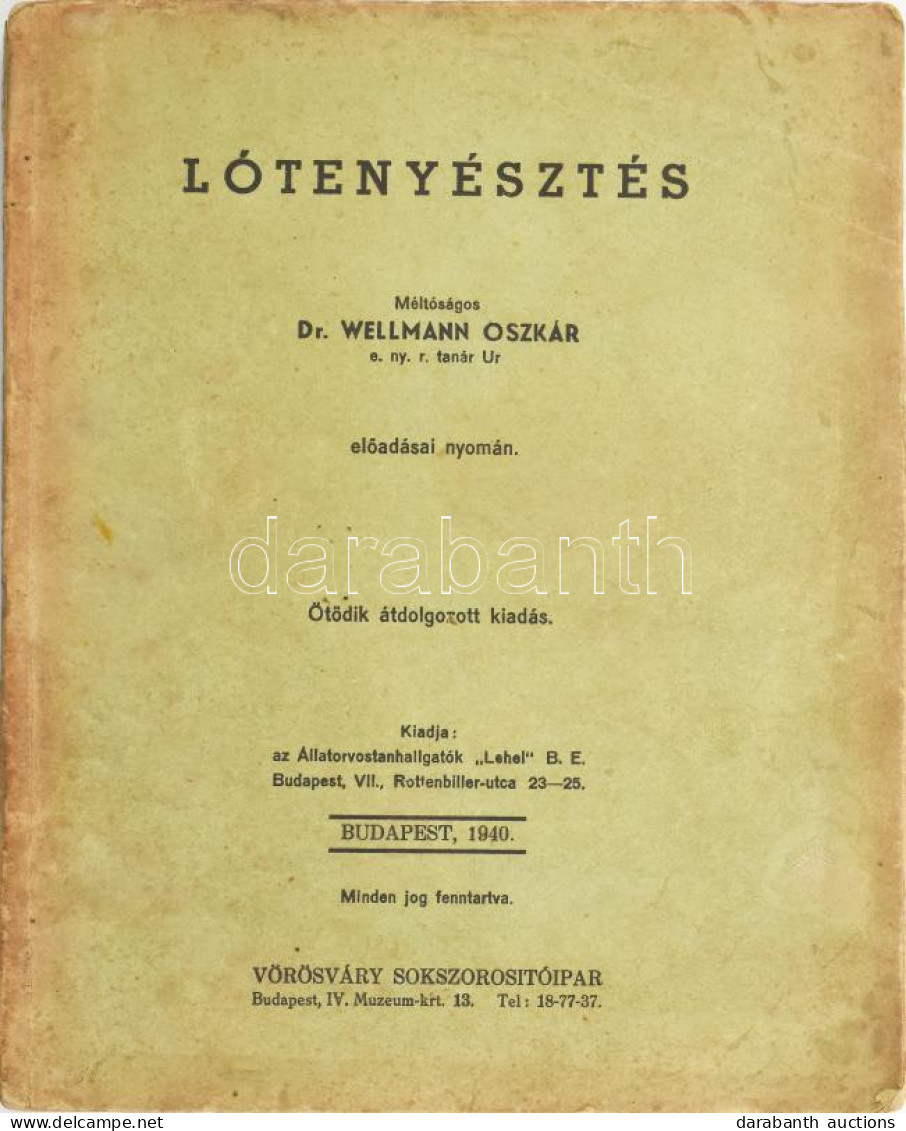 Wellmann Oszkár, Dr.: Lótenyésztés Méltóságos ~~ E.ny. Tanár Úr Előadásai Nyomán. Ötödik Kiadás. Bp., 1940. Állatorvosta - Non Classés