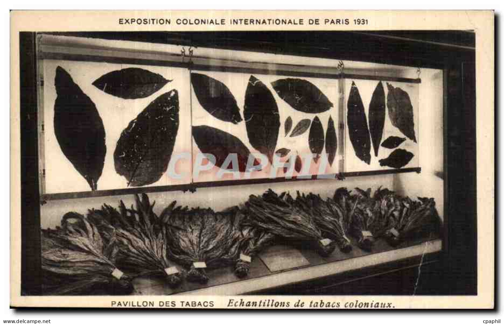 CPA Exposition Coloniale Internationale De Pavillon Des Tabacs Echantillons De Tabacs Coloniaux - Expositions