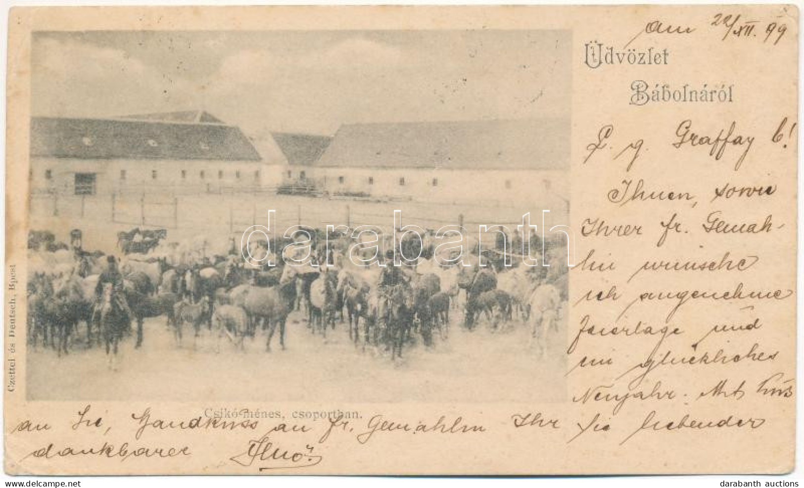 T3 1899 (Vorläufer) Bábolna, Csikó Ménes Csoportban. Czettel és Deutsch Kiadása (EK) - Unclassified