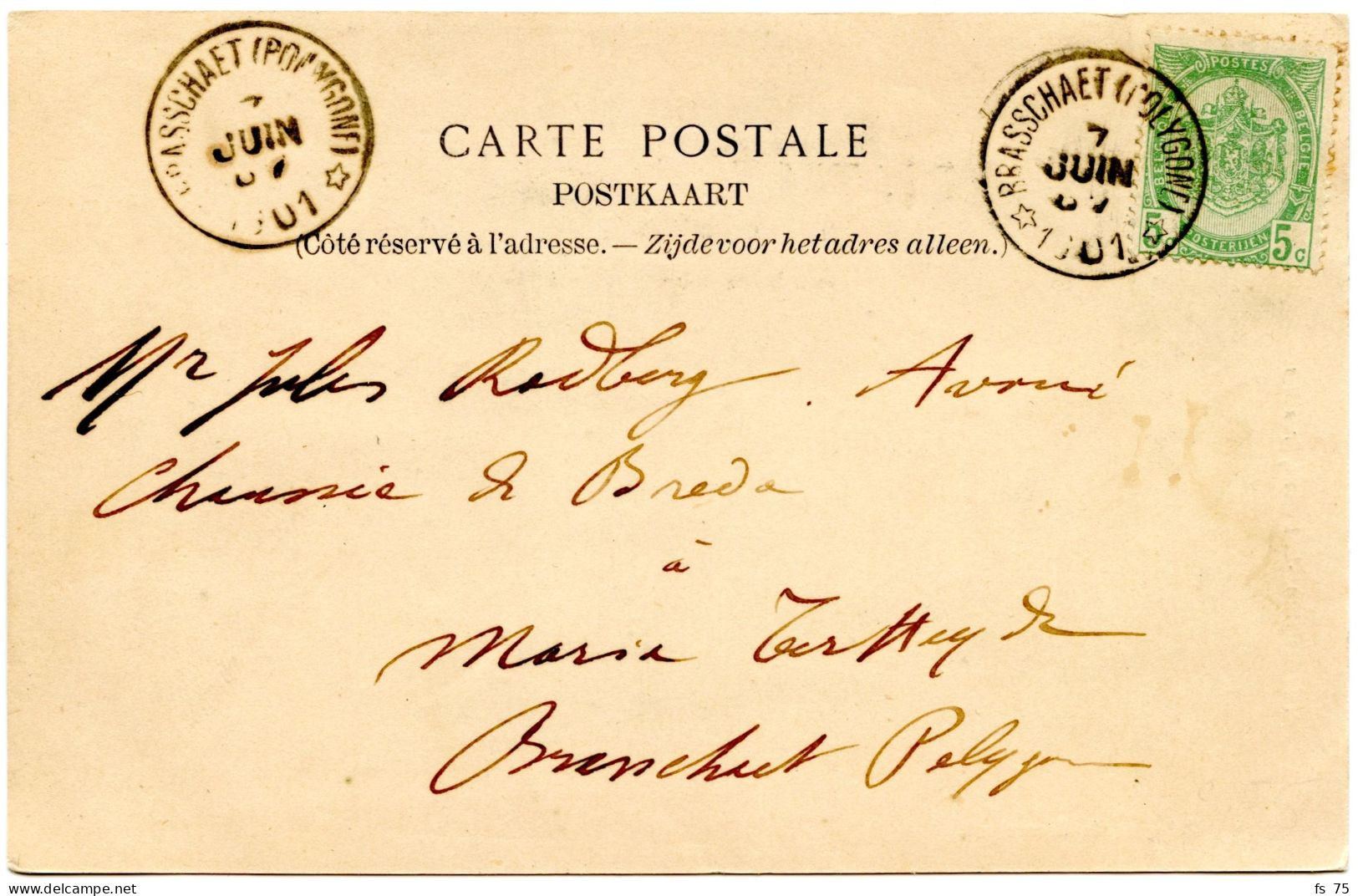 BELGIQUE - COB 56 SIMPLE CERCLE RELAIS A ETOILES BRASSCHAET (POLYGONE) SUR CARTE POSTALE, 1901 - Sterstempels