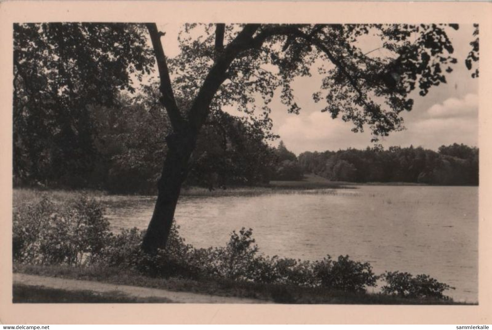 68530 - Rheinsberg - Im Park - 1960 - Rheinsberg