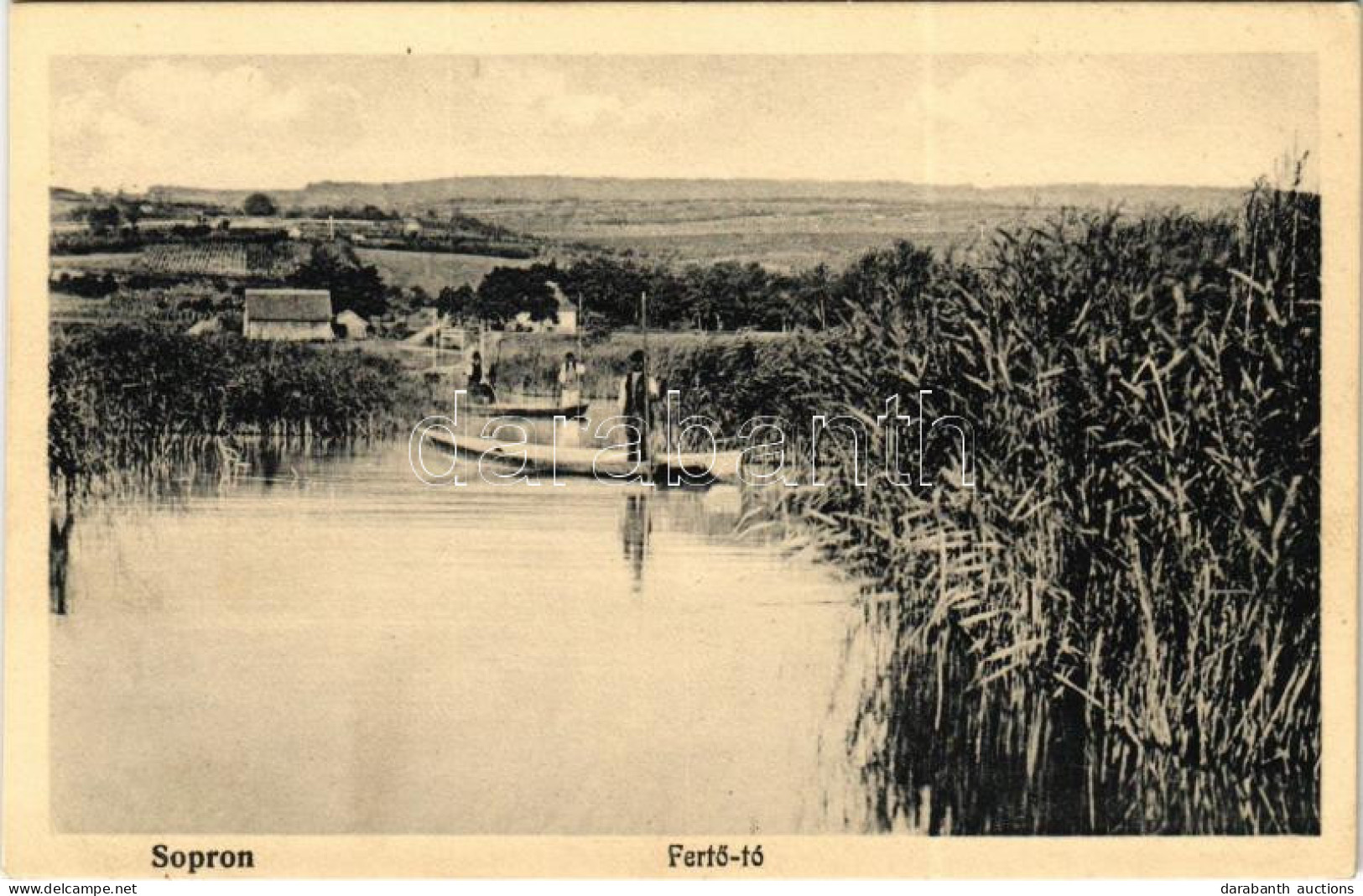 * T2/T3 Sopron, Fertő Tó, Nádas. Piri Dániel Kiadása (fl) - Non Classificati