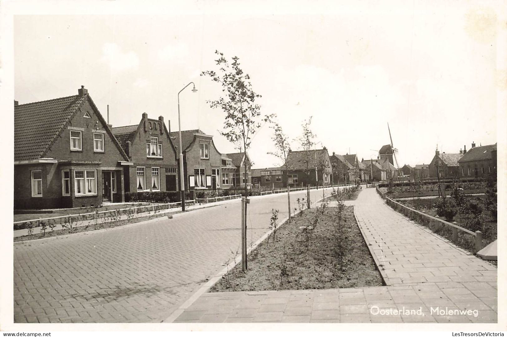 PAYS-BAS - Oosterland - Molenweg - Vue Sur Une Route - Vue Générale - Des Maisons Tout Près - Carte Postale Ancienne - Andere & Zonder Classificatie