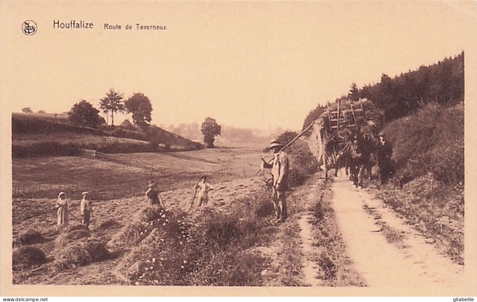 HOUFFALIZE - Route De Taverneux - Houffalize