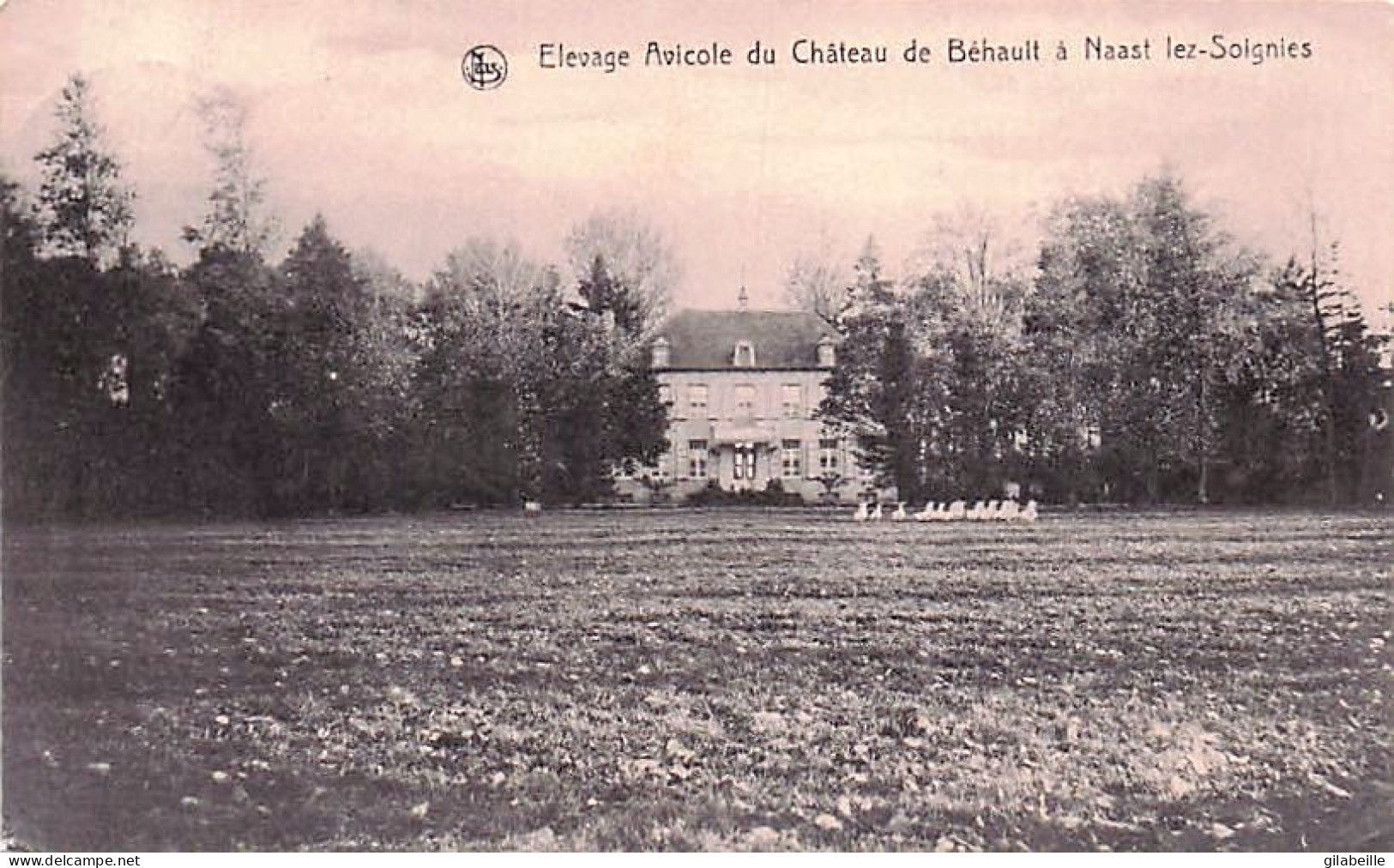 NAAST Lez SOIGNIES - Elevage Avicole Du Chateau De Behault - 1924 - Soignies