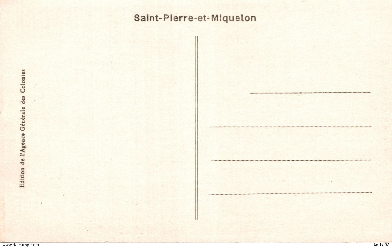 N64 - SAINT-PIERRE-ET-MIQUELON - Séchage De La Morue - Saint-Pierre-et-Miquelon