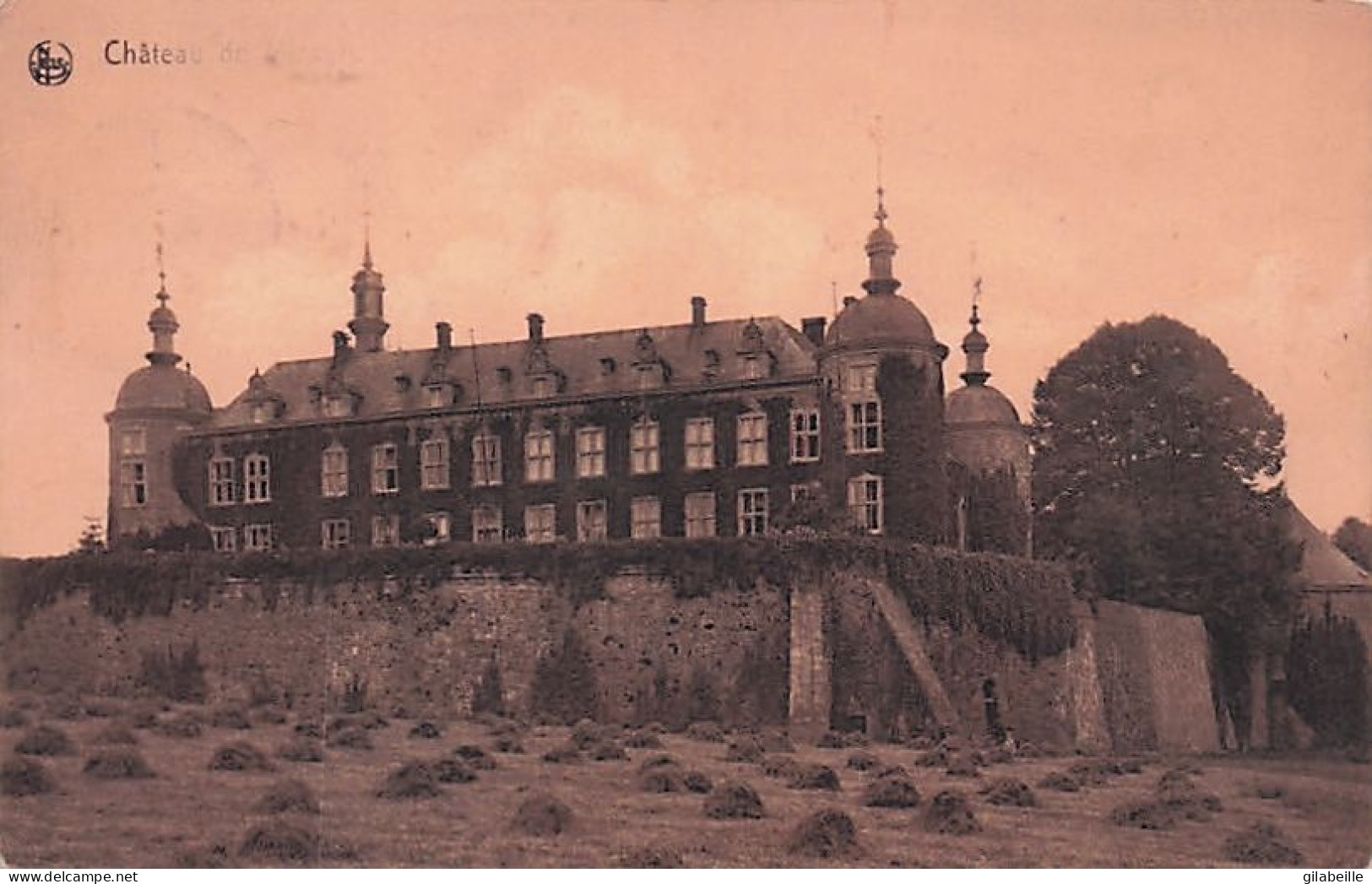 Luxembourg - St Saint Hubert  - Chateau De MIRWART - 1910 - Saint-Hubert