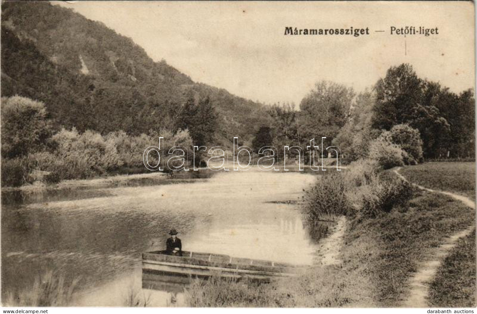 T2/T3 1916 Máramarossziget, Sighetu Marmatiei; Petőfi Liget. Wizner és Dávid Kiadása / Park (EK) - Unclassified