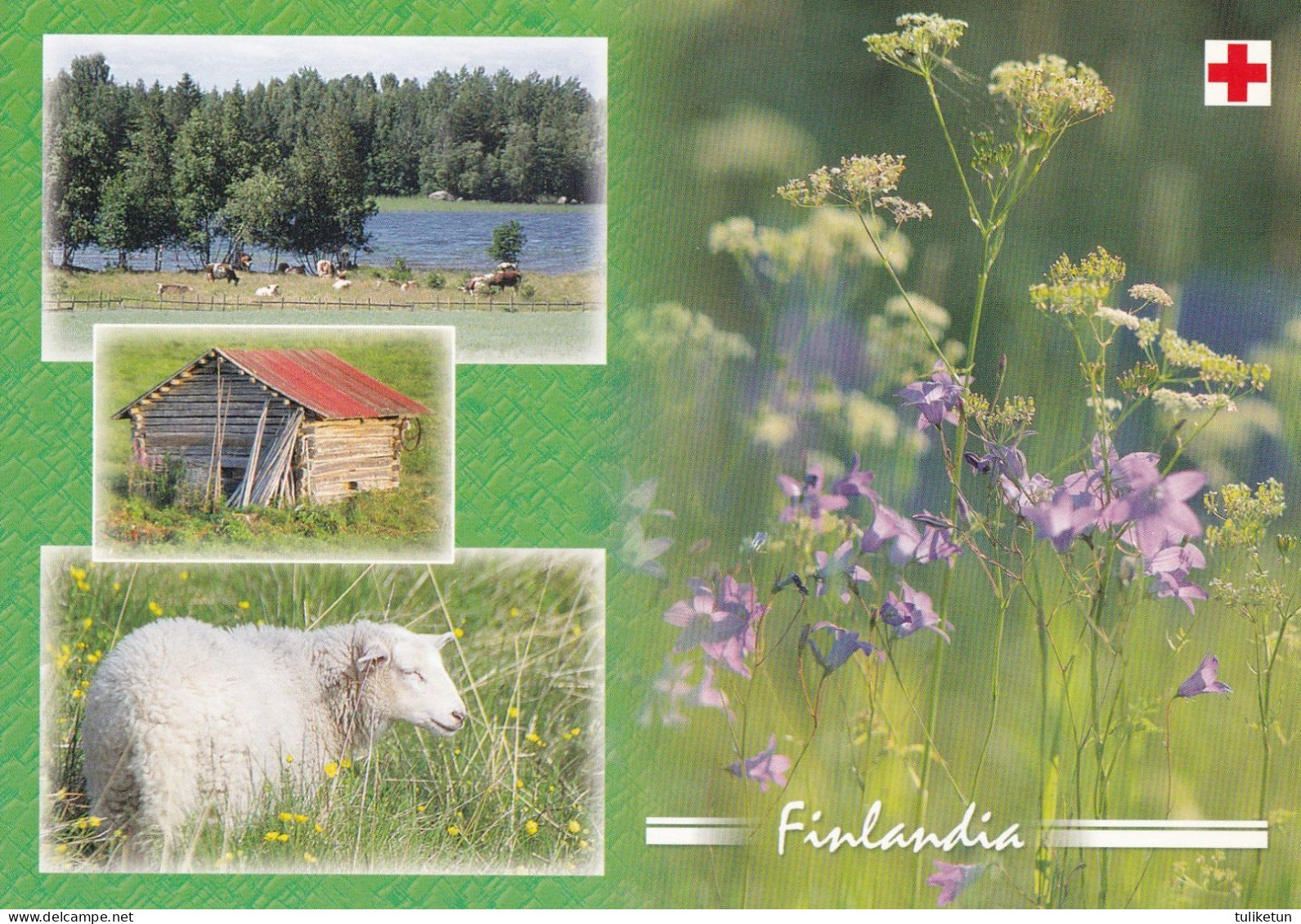 Postal Stationery - Summer Landscape - Scene - Red Cross 2003 - Finlandia - Suomi Finland - Postage Paid - Postal Stationery