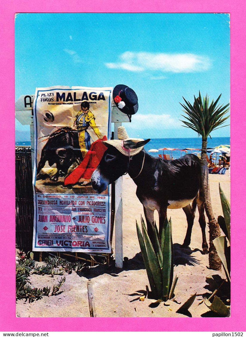 E-Espagne-420P14 La Costa Del Sol, La Playa, Un âne Avec Chapeau, BE - Almería