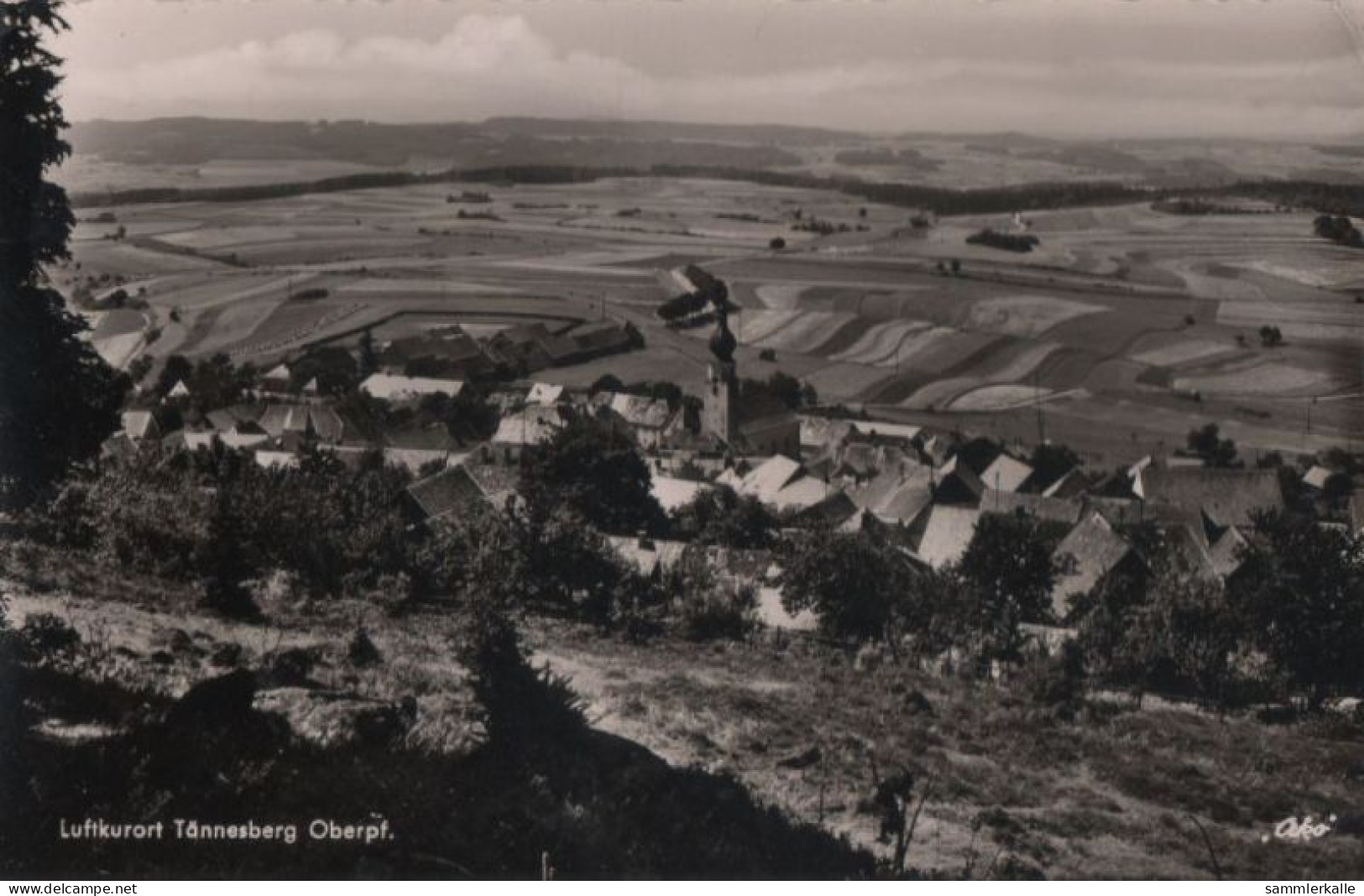 114162 - Tännesberg - Ansicht - Neustadt Waldnaab