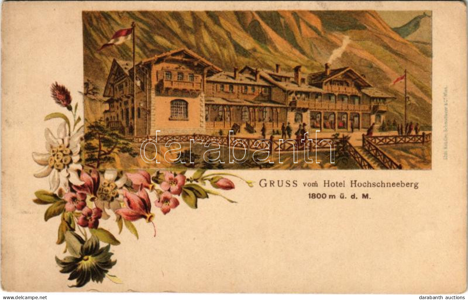 * T2/T3 Hochschneeberg, Gruss Vom Hotel Hochschneeberg. Art Nouveau, Floral, Litho (EK) - Zonder Classificatie